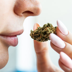 Womans nose smelling dried marijuana