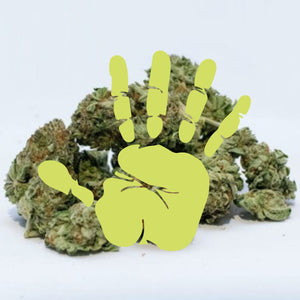 Dried marijuana with painted hand print